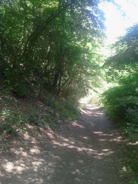 2017-05-20 13.50.26.jpg